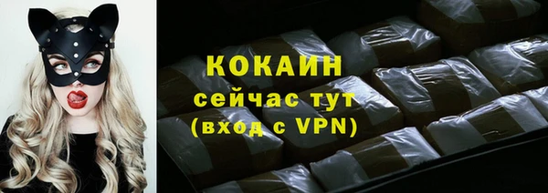 спайс Богданович
