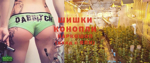 спайс Богданович