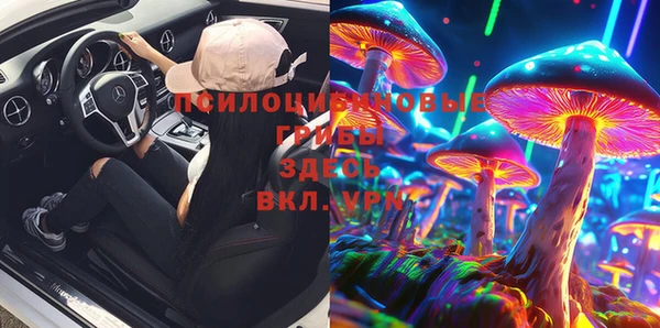 спайс Богданович
