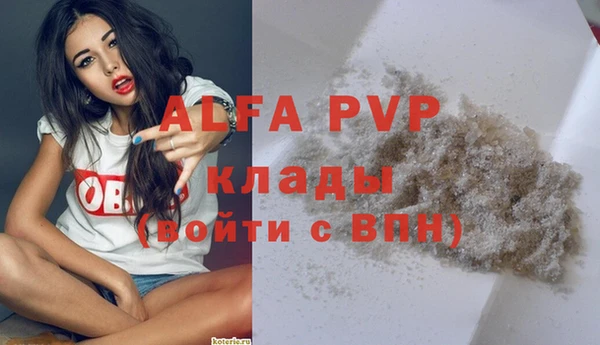 спайс Богданович