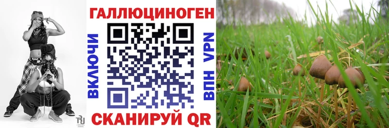 Псилоцибиновые грибы прущие грибы  Дмитров 