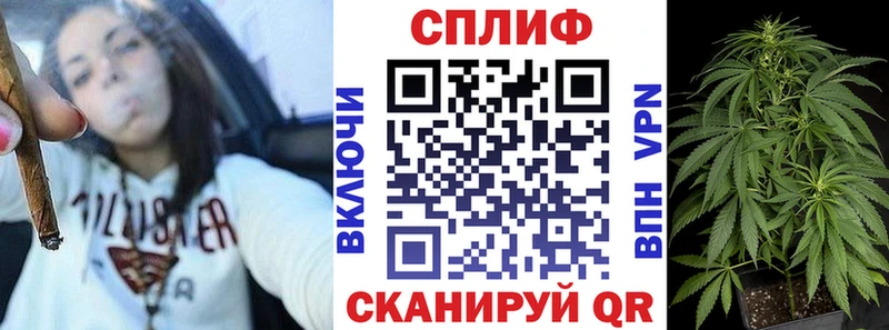 купить наркотик  Дмитров  дарк нет Telegram  Каннабис White Widow 